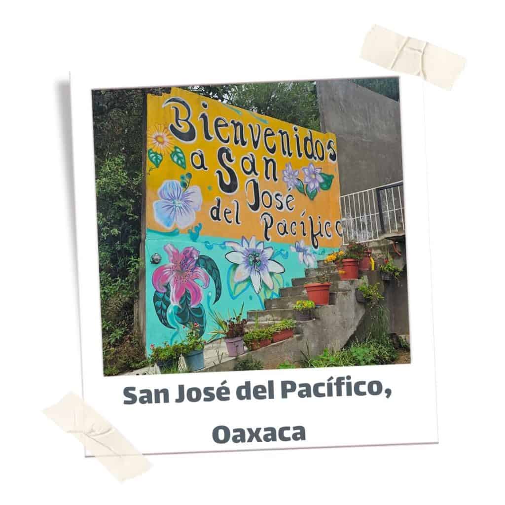 Colourful welcome sign to San Jose del Pacifico.