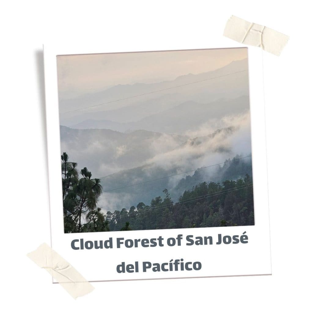 Mountain range with clouds in San Jose del Pacifico during the best time to travel to Oaxaca.