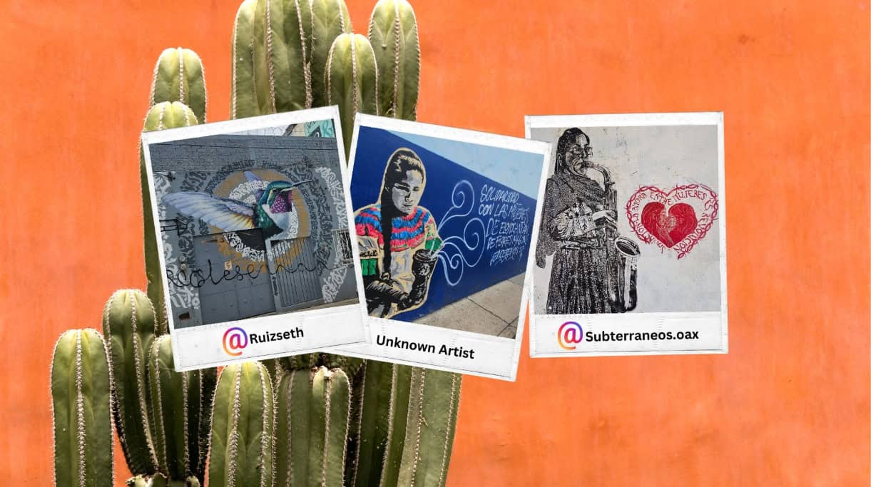 3 images of street art. Hummingbird, Indigenous woman, and another Indigenous woman