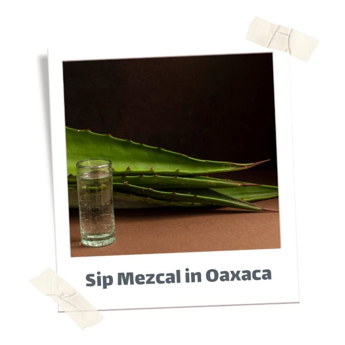shot of mezcal with agave leaf