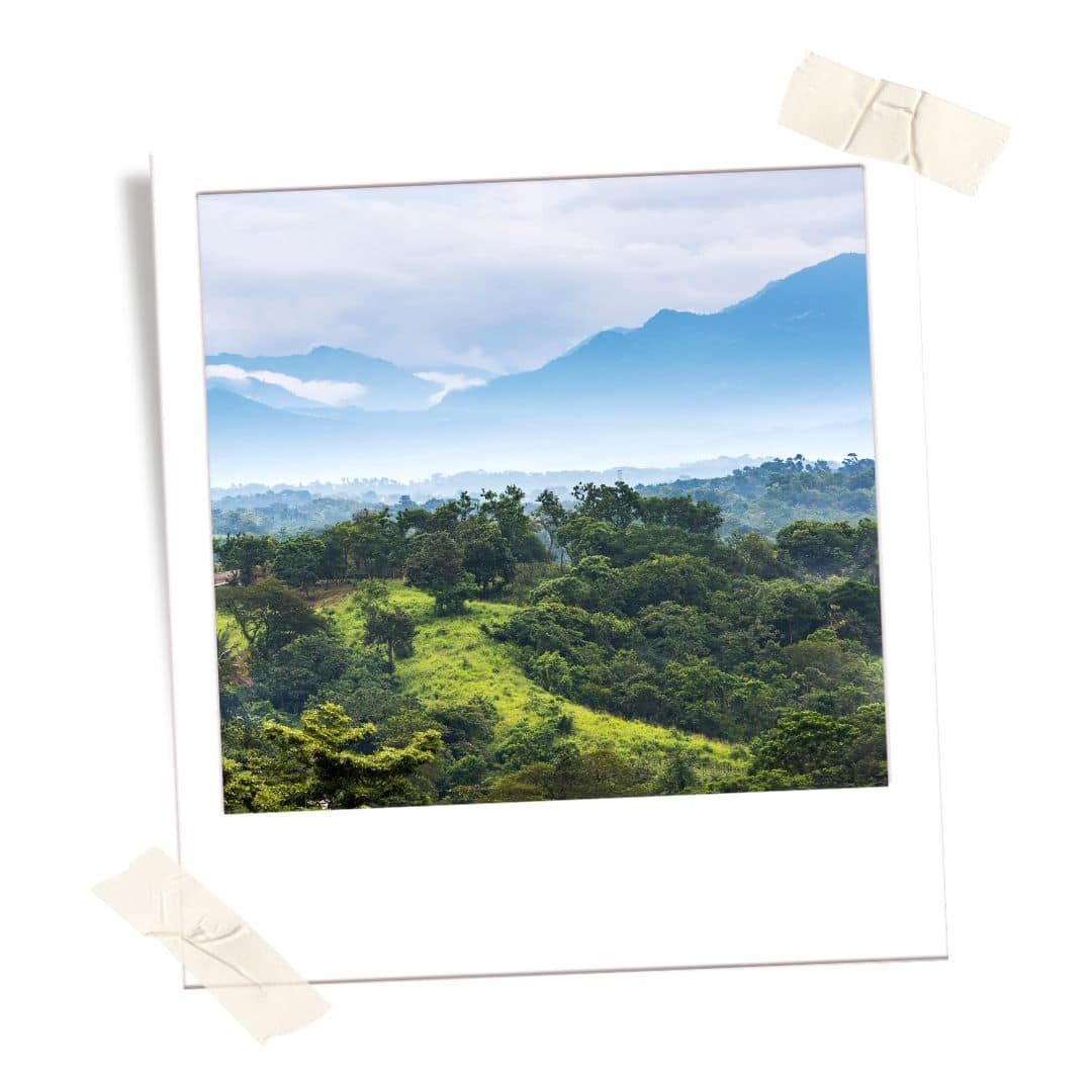 Mountainous Mexican landscape. Green hills and mountains in the background