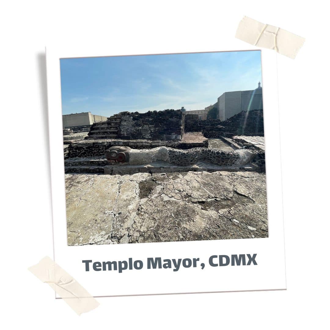 Snake carving at Templo Mayor in Mexico City. A Must see site!