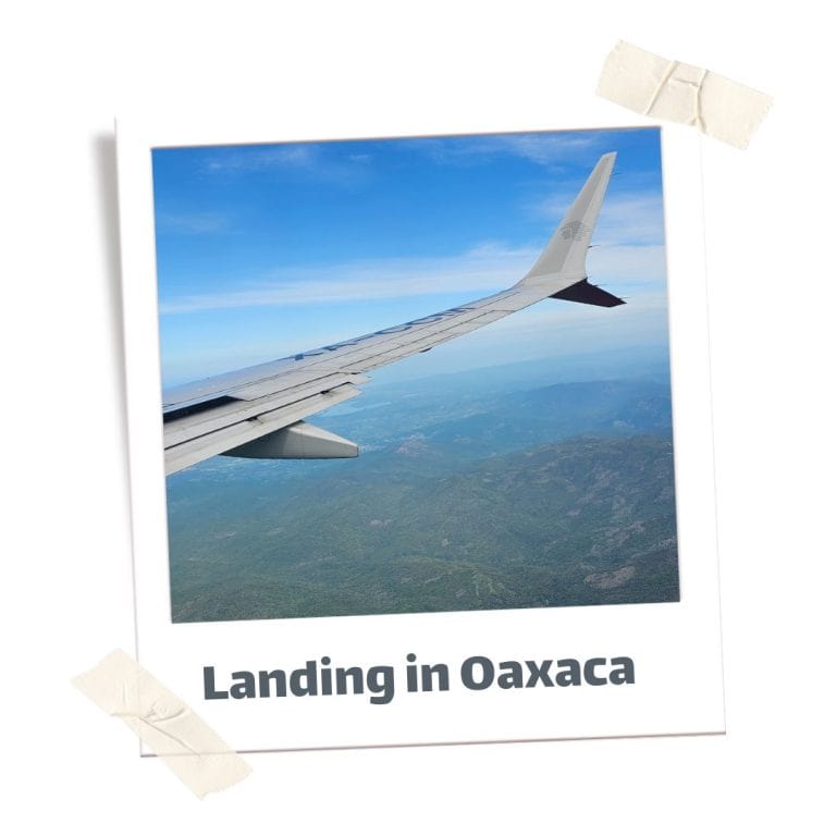7-Day Ultimate Mexico Itinerary: From Mexico City to Oaxaca