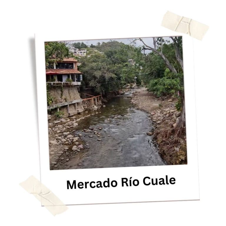 Serene view of Mercado Río Cuale with flowing river and lush greenery in Puerto Vallarta.